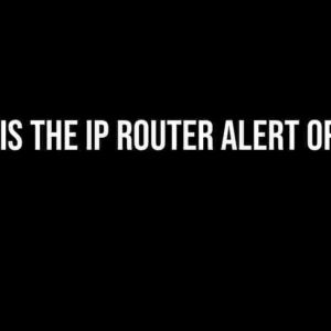 What is the IP Router Alert Option?