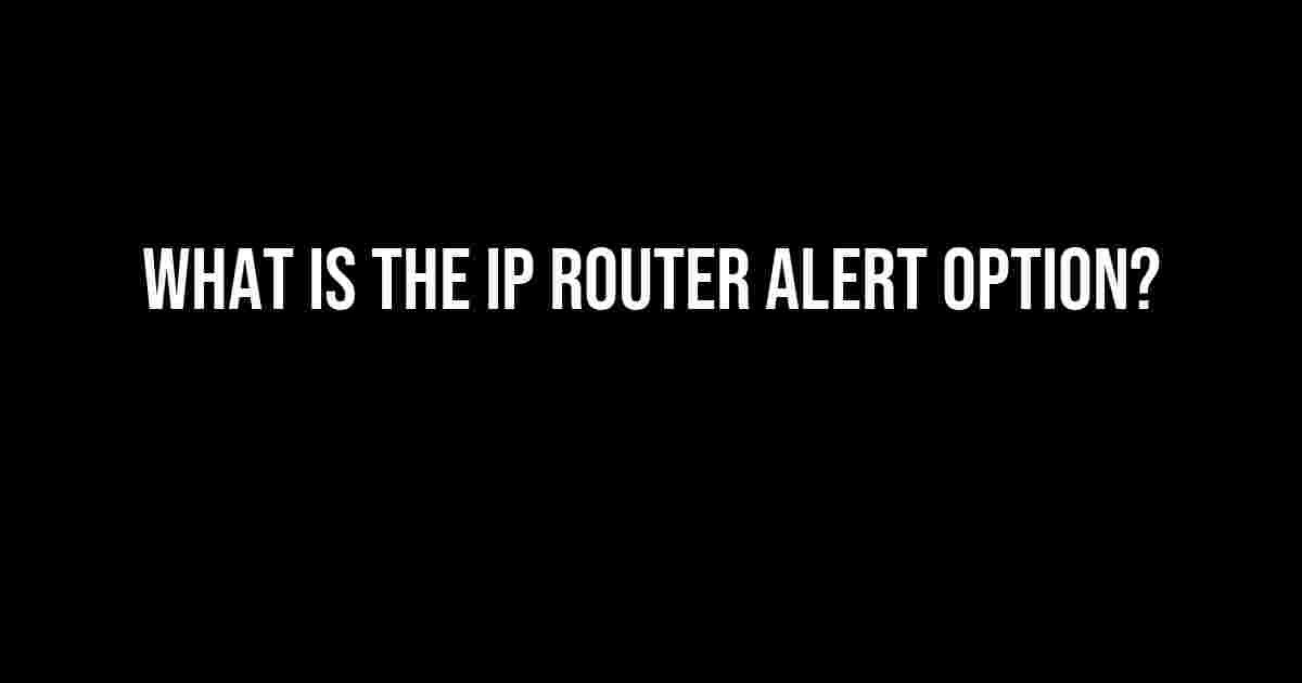 What is the IP Router Alert Option?